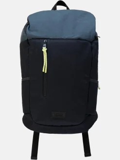 TASCHE